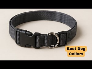 ✅ Top 5 Best Dog Collars | The Best Dog Collars, Tested and Reviewed in [2025]