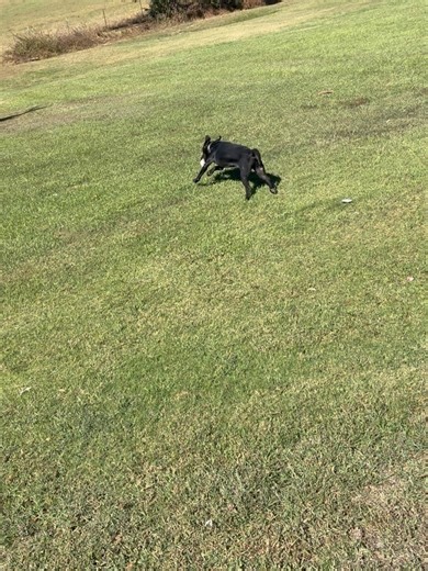 Ted Robinson on Reels | Facebook