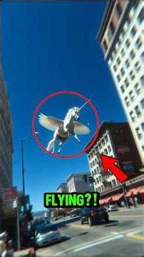 5 Animals Flying at Airplane Altitude Will Shock You! #facts #animals