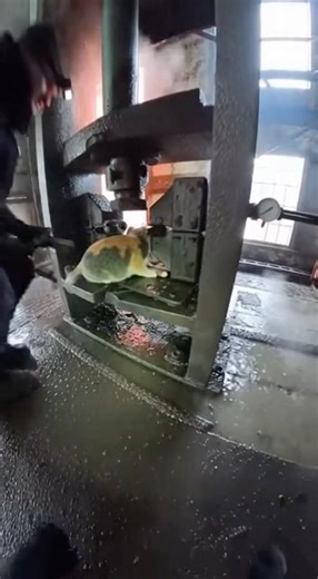 Trapped Cat Inside Giant Machine – Emotional Rescue Story ❤️#hope #cat #emotional