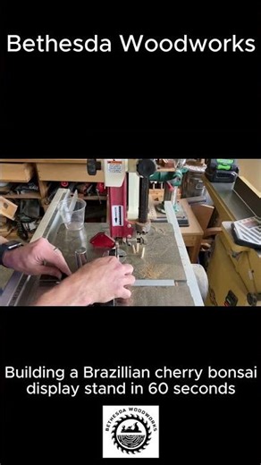 Building a custom Brazilian cherry bonsai stand in 60 seconds