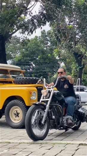 harley sportster custom chopper