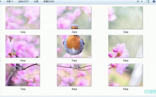 批量 分割图片【Python应用篇】