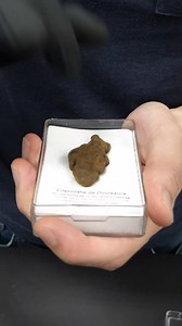 236K views · 5K reactions | This Poop Is From Ancient Times! | NileRed | Facebook