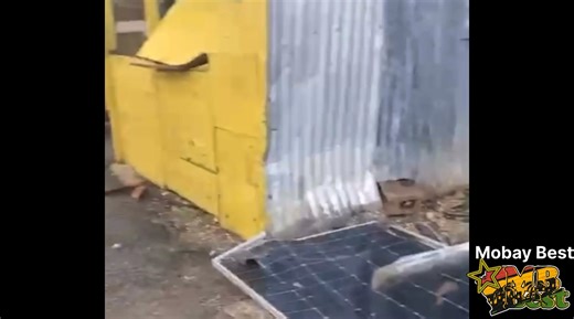 11K views · 131 reactions | Let’s build back stronger, build back better , together .!! #onemobay #mobaybest | Mobay Best | Facebook