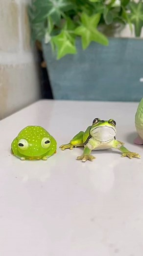 本物のカエルはどれでしょう？かわいいカエル特集