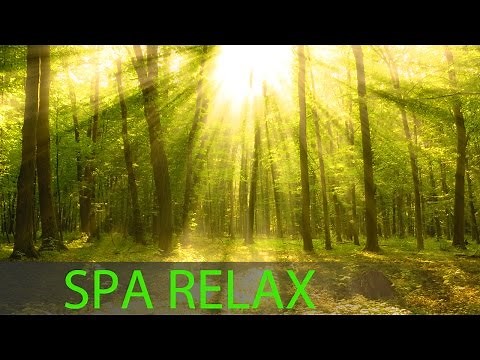 8 Hour Relaxing Spa Music: Massage Music, Calming Music, Meditation Music, Relaxation Music ☯251