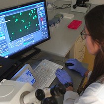 视频: 用于单细胞下游表征的靶细胞预富集和全基因组扩增