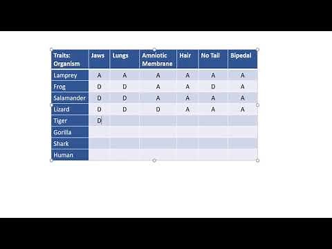Creating a character matrix of ancestral and derived characters