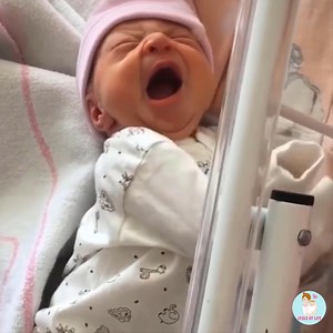 Precious i want to kiss them chunky cheeks blessed parent 💋 Join the group to see more videos and photos 💖 : We Love Babies | Cycle Of Life