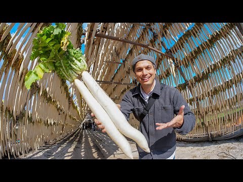 How Japanese Pickles are Made | Miyazaki Daikon Farm