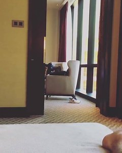 185K views · 10K reactions | I got silly strung | Austin Mahone | Facebook