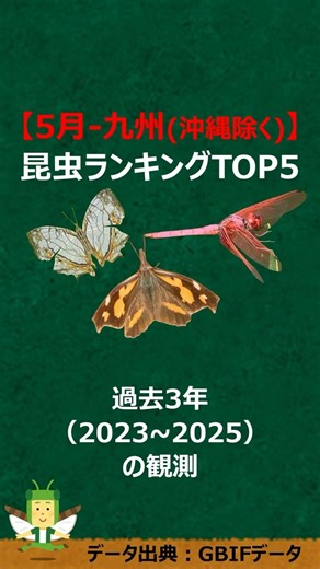 【5月-九州地方】観測できる昆虫ランキングTOP5【2023-2025】#shorts