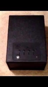 Bulldog Vault Review - Gun Safe