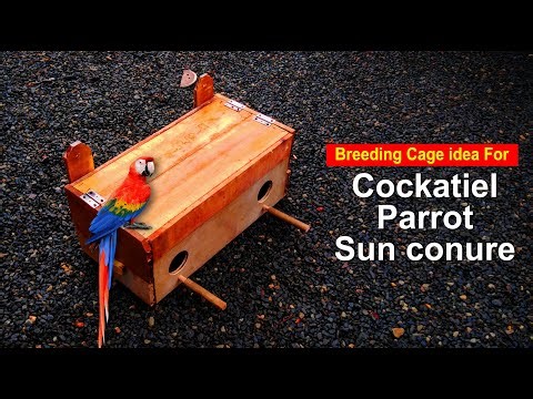 How To Make a Breeding Cage For Parrot and Cockatiel | DIY Breeding Cage idea