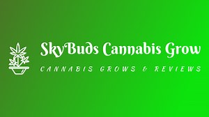 Day 20 - Autoflower - Cannabis MOB Strain -