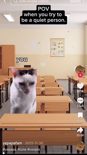 Yapapa Cat Meme: Funny Moments with Keyboard Cats