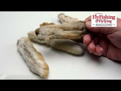 Snowshoe hare; selection and tying