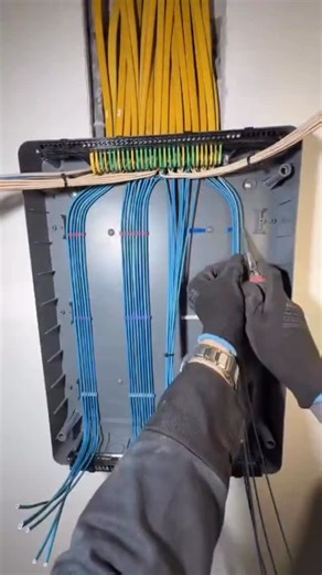 Sharukh Khan on Instagram: "electrical Single phase DB installation⚡️🔥#diy #electronics #electrical #electrician #fblifestyle #india @_designer4electrician"