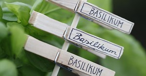 Dekorative Pflanzenstecker selber basteln