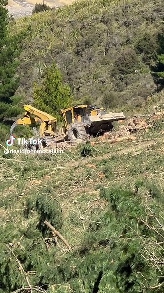 David John McCallum (@davidjohnmccallum)’s videos with Great Southern Land - ICEHOUSE