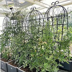 2 Pack Metal Garden Trellis 71" x 19.7" Rustproof Trellis for Climbing Plants in Outdoor Garden,Lawn,Backyard,Patio, Rustproof Iron Plant Support Outdoor Flower Support,Black