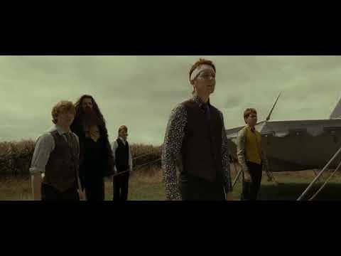 Bill Weasley - All Scenes