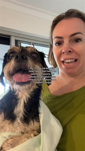 Mind you someone got struck by lightning 3 streets over during this same storm 🤦🏼‍♀️