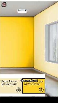 best wall colour combination Nippon paint and number