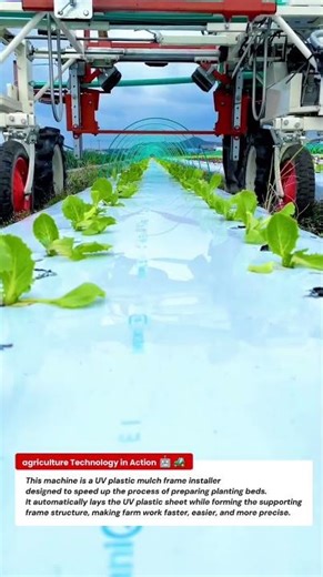 UV Plastic Mulch Frame Installer Machine – lettuce seed treatment from rain 🌱