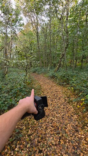 We found creepy twisted statues left in the woods. | Exploring with Josh