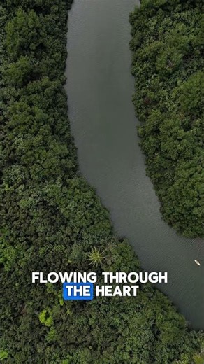 Inside the Amazon Rainforest 🌿 | Earth’s Greatest Natural Wonder