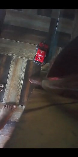 ka BIBO | Meme Derecho