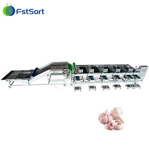 [Hot Item] Vegetable Processing Plant Garlic Grading Machine Sorting and Grading Equipment