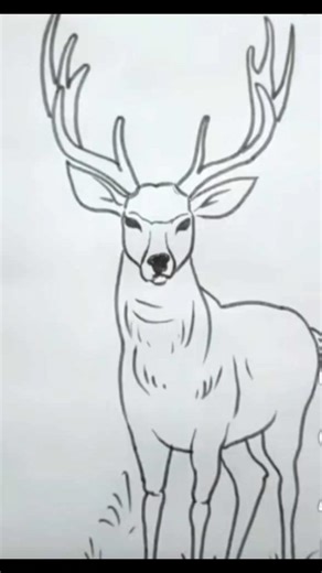 🦌🦌Deer.. sketching 🖌️❤️#shorts #art #deer #رسومات #رسامين #فنانين#لوحات #تعليم_الرسم #sketchartist