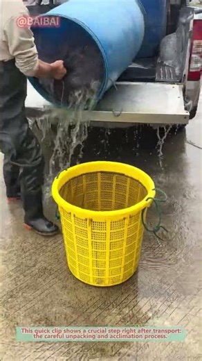 How to Unpack Fish Fry from Car Trunk