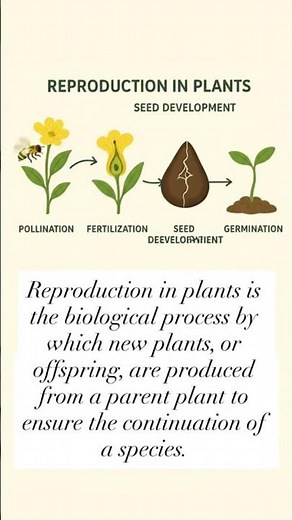 Reproduction in plants #trending #flowers #germination #reproduction #follow #facts #biology #gk