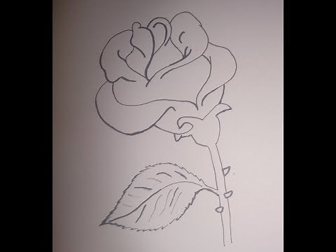 Rózsa rajzolása egyszerűen | Neszeszer