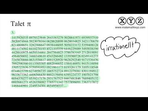 Y 3.1 Omkrets och area