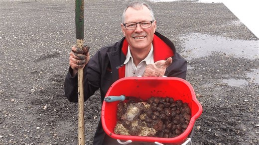 Clamming tips and oysters