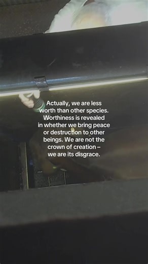 It’s time we stop being so arrogant 😞 #vegan #govegan 💚🌱 Video source: Farm Transparency Project