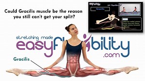 Could Gracilis muscle be the reason you still can’t get your split? If you really want to know the answer watch this video. We did a break down of each of the muscles that are involved in a split, if ONLY ONE of them is tight or weak, the split WON'T HAPPEN. What's worse, you'll keep stretching and stretching, and yet nothing will happen... Then what's the SOLUTION...? To use a method to PINPOINT which muscle is tight, and work on it, kinesiologically, which means targeting the issue in a way th