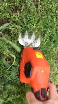 #shorts Cordless Hedge Trimmer And Grass Shear Review