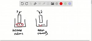 SOLVED:What purpose does the salt bridge serve in a voltaic cell, and how does it accomplish this purpose?