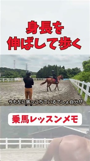 "Horse Riding" Lengthen Your Torso #horse #horseriding #equestrian