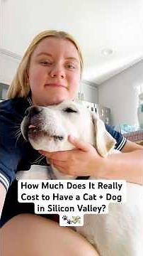 Life in Silicon Valley: Dog & Cat Expenses You Need to Know
