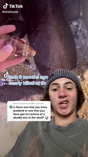 Identifying Deadly Cone Shells: A Cautionary Tale