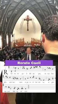 Rorate Caeli #gregorianchant #chanting #catholicmass #catholicism #holymass #advent #jesus #worship