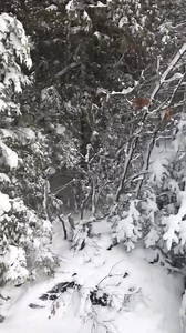 2K views · 20 reactions | What’s the weather like at your place? Are you working today? | The Ellsworth American | Facebook