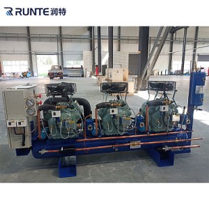 [Hot Item] Walk in Chiller Cooler Freezer Cold Storage Room Multiple Compressors Parallel Rack Condensing Unit